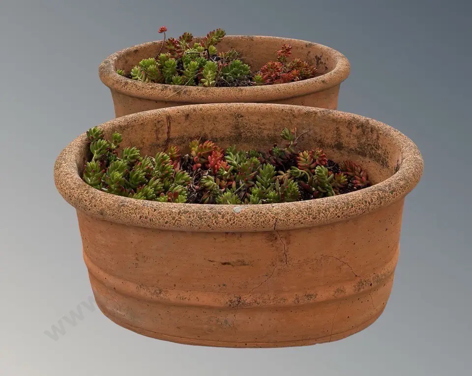 Pair of Terracotta Oval Planters H26xL60xD39cm, one AF Image 1++