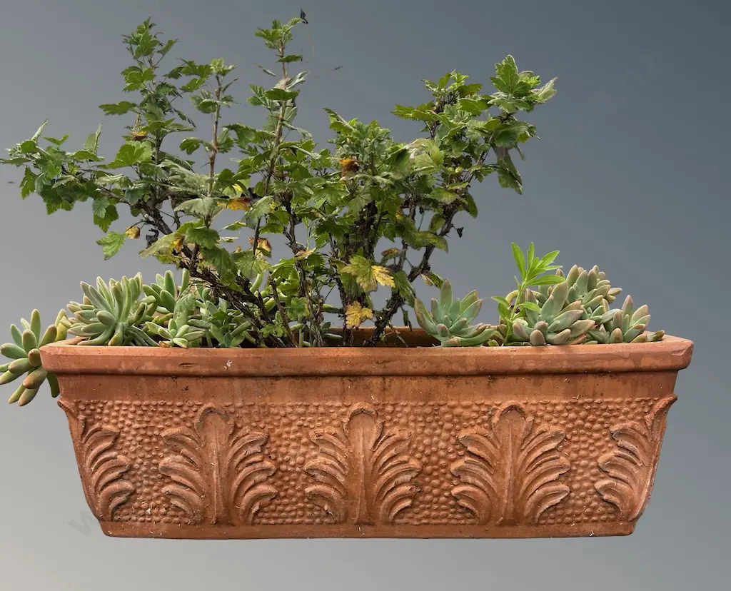 Terracotta Trough, L62xH20xD26cm Image 1++