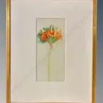 Rita Angus - Nerine, watercolour on paper, 345x160mm Image 1++