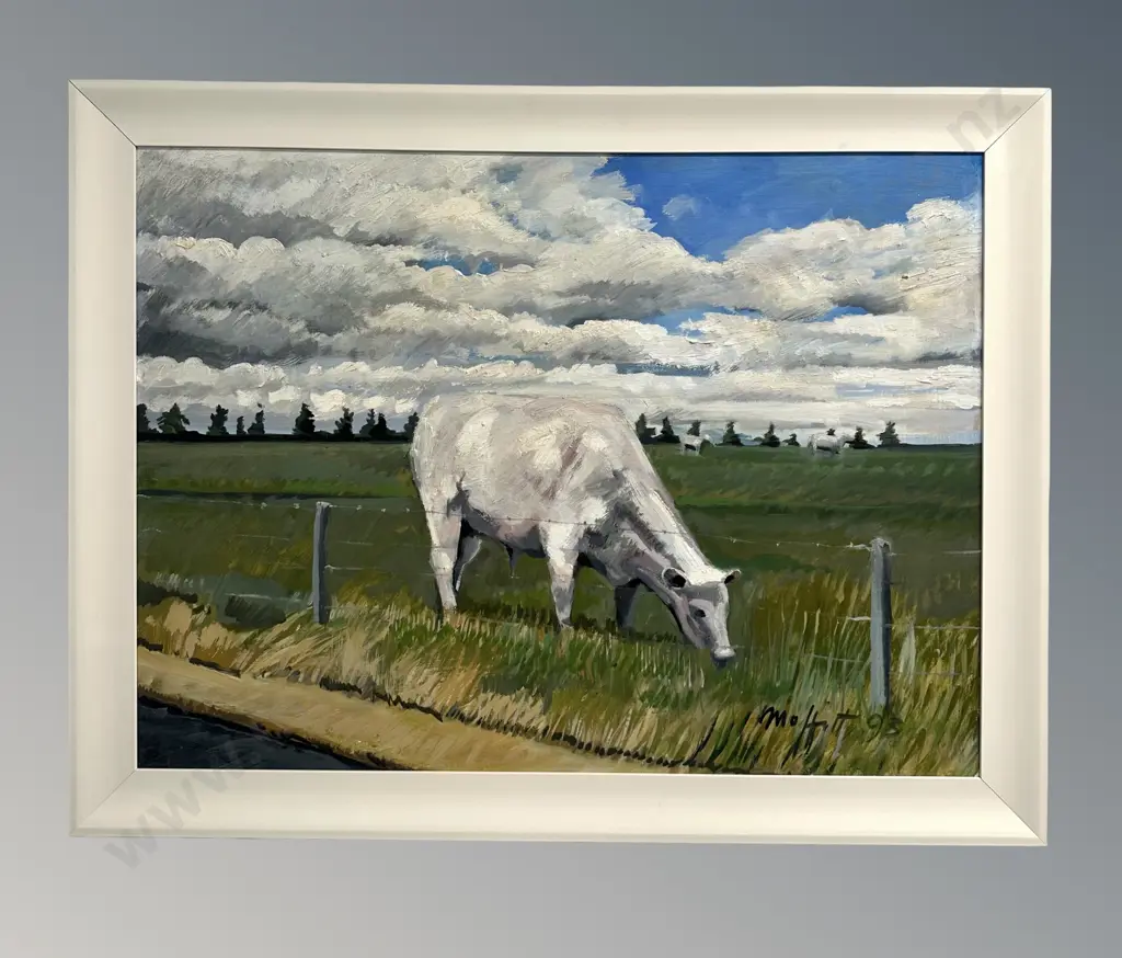Trevor Moffitt - Charolais Steer, Paddock Series, oil on board, 580x790mm Image 1++