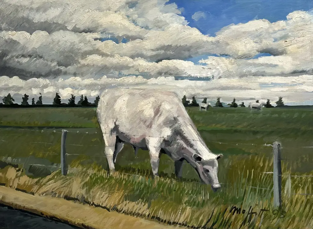 Trevor Moffitt - Charolais Steer, Paddock Series, oil on board, 580x790mm Image 1++