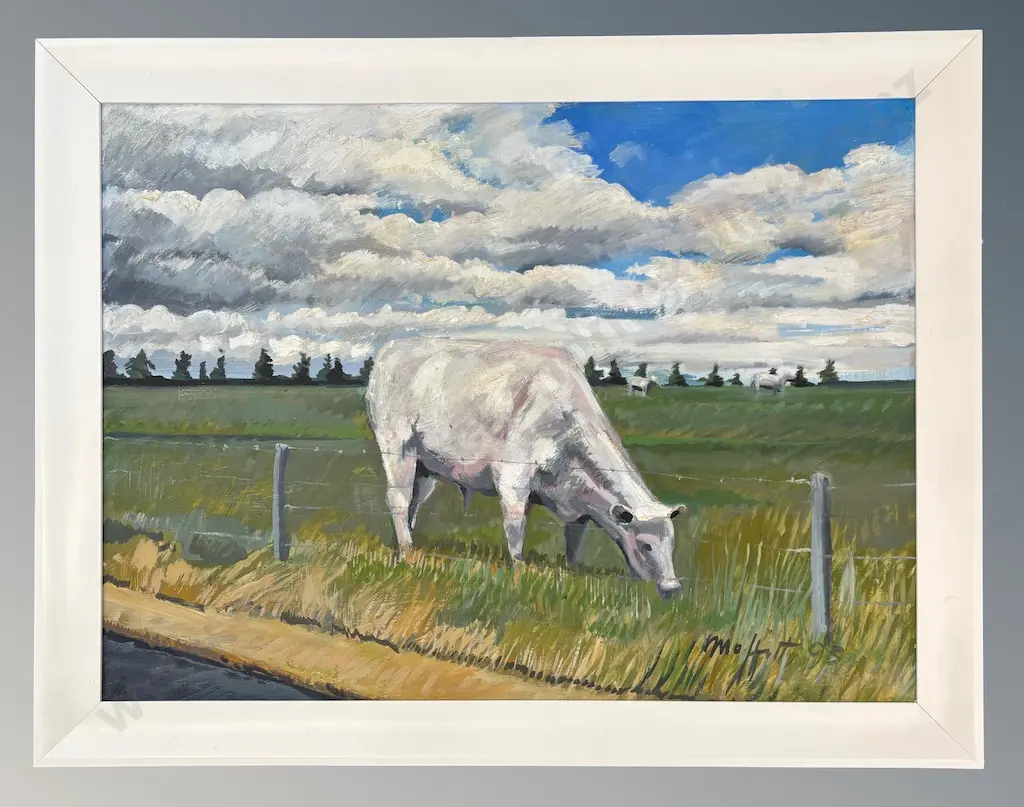 Trevor Moffitt - Charolais Steer, Paddock Series, oil on board, 580x790mm Image 1++