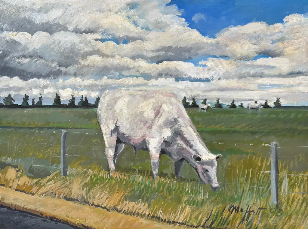 Trevor Moffitt - Charolais Steer, Paddock Series, oil on board, 580x790mm Image 1++
