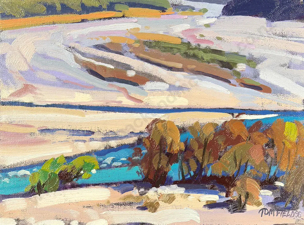 Tom Field - The Upper Waimakariri River near the Mount White Bridge, 1996, oil on board, 220x300mm Image 1++