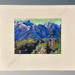 Tom Field - Trees, Paparoa Mountains, oil, 255x340mm Image 1++