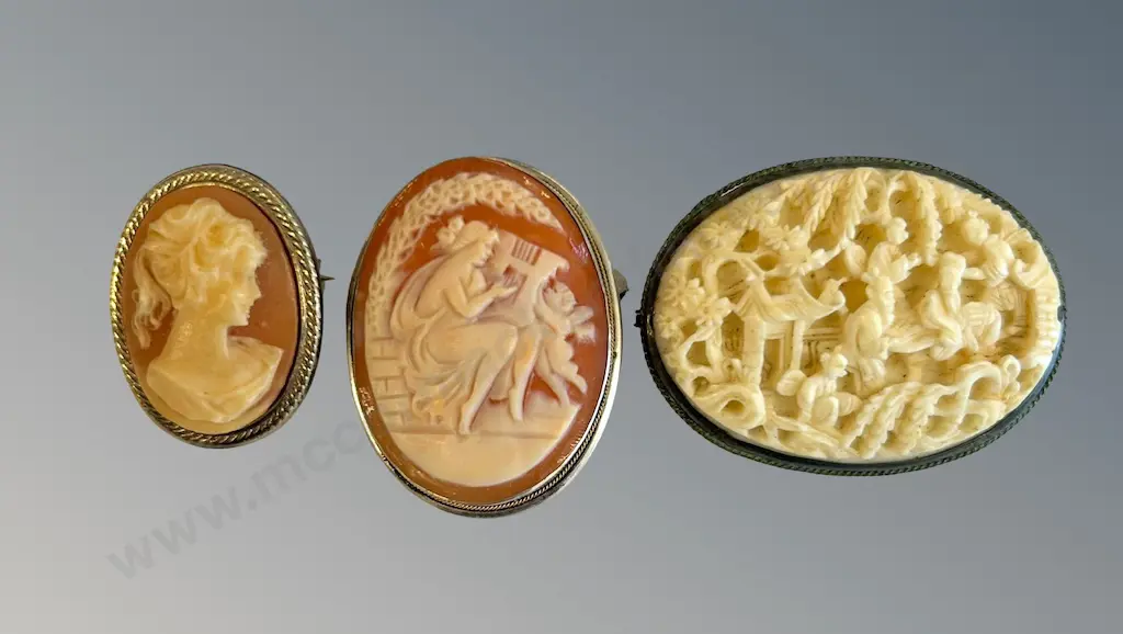 Two Cameo Brooches and Ivory Brooch Image 1++