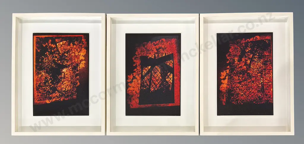 Di Ffrench - Art Gallery, Christchurch, Triptych, photographs on board, 500x335mm(ea) Image 1++