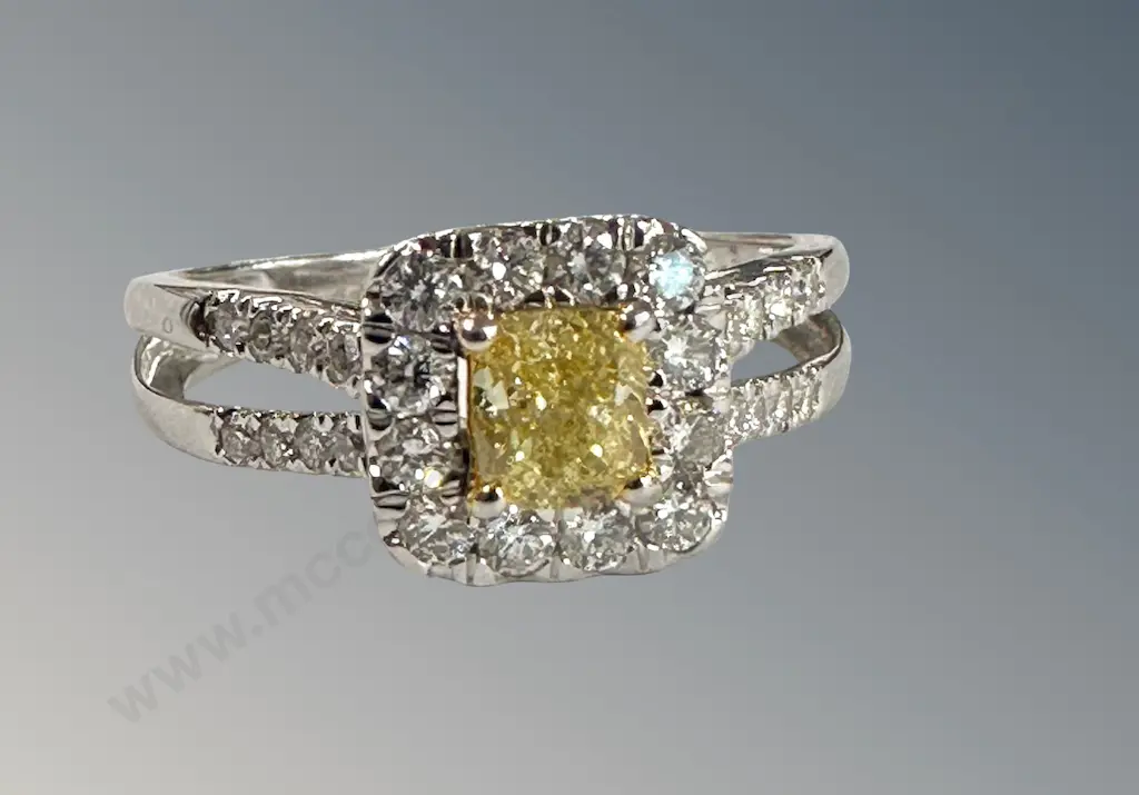 14ct White Gold Yellow and White Diamond Cluster Ring, Size N, TGW.84ct, Valuation $10800 Image 1++