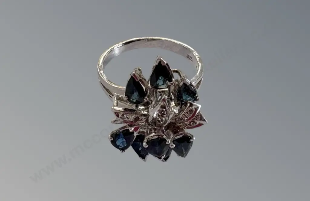 Sterling Silver Sapphire and Diamond Cluster Ring, Size M , TW4.6gms Image 1++