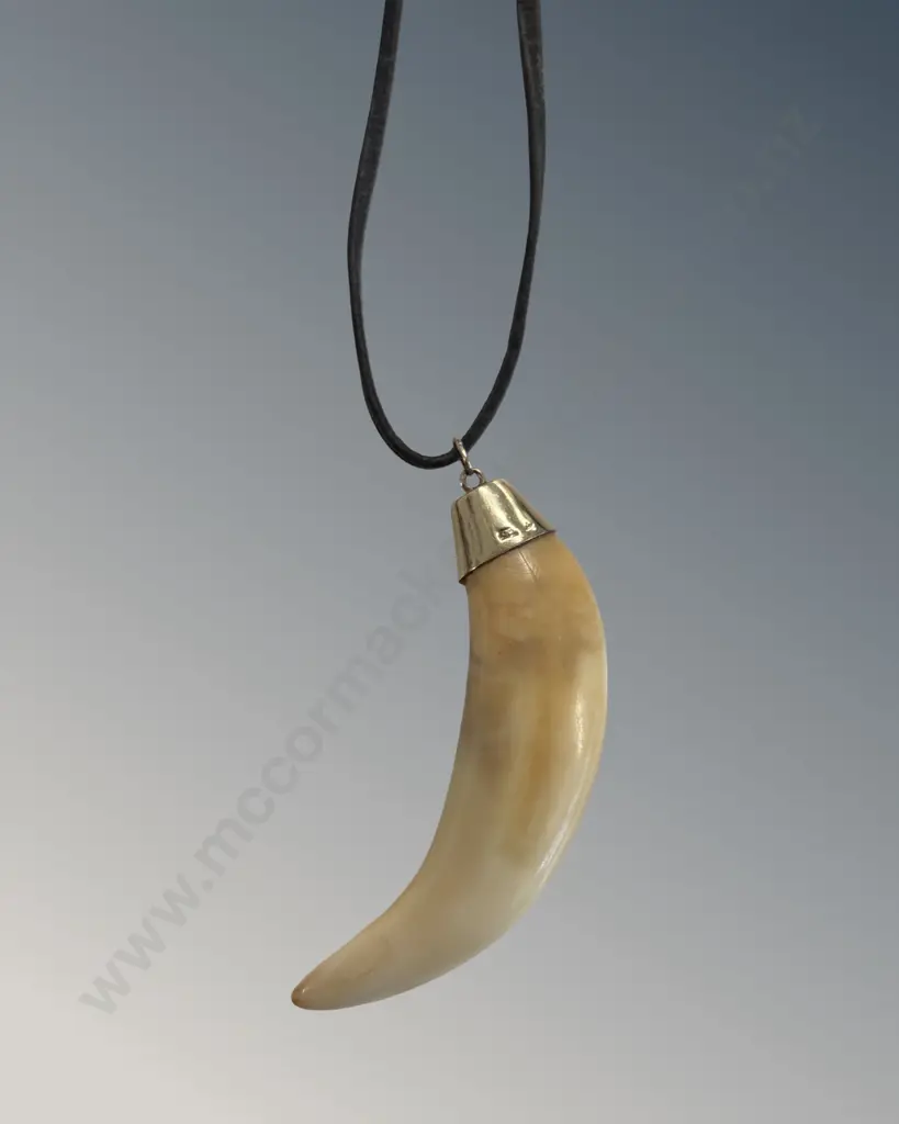 9ct Gold Mounted Tigers Tooth on Leather Necklace Image 1++