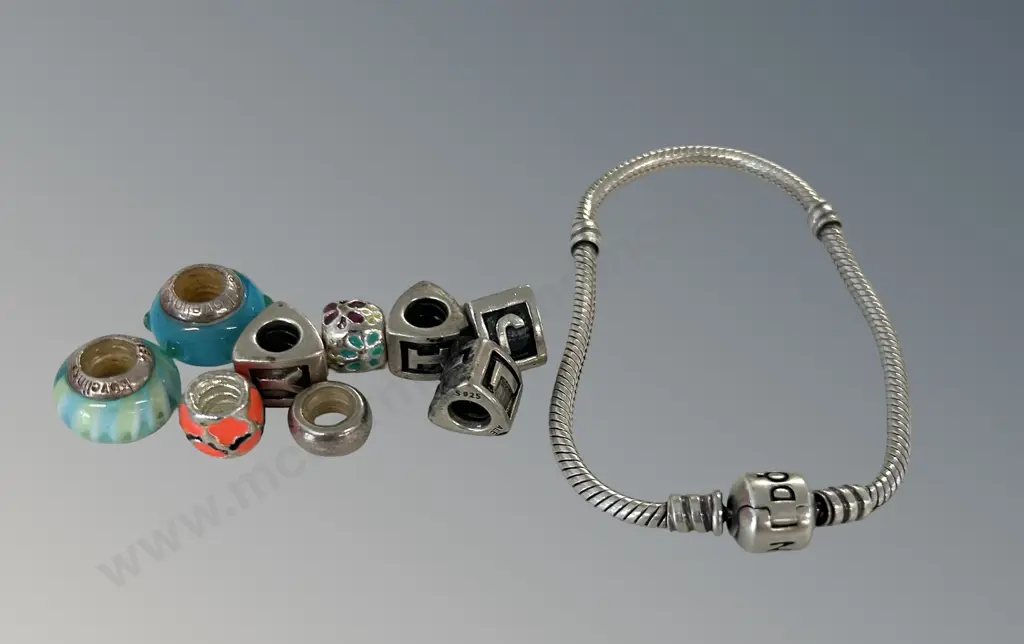Silver Pandora Bracelet with 9 Charms Image 1++