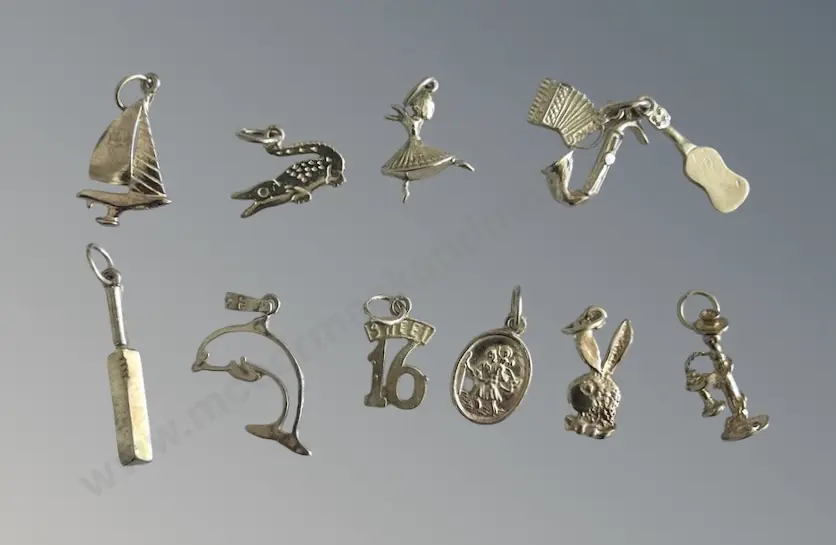 Collection of Silver Charms (12) Image 1++