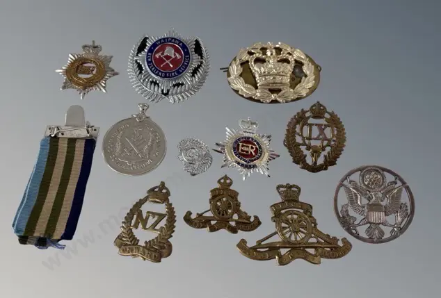 Assorted WWI Cap Badges etc Image 1++