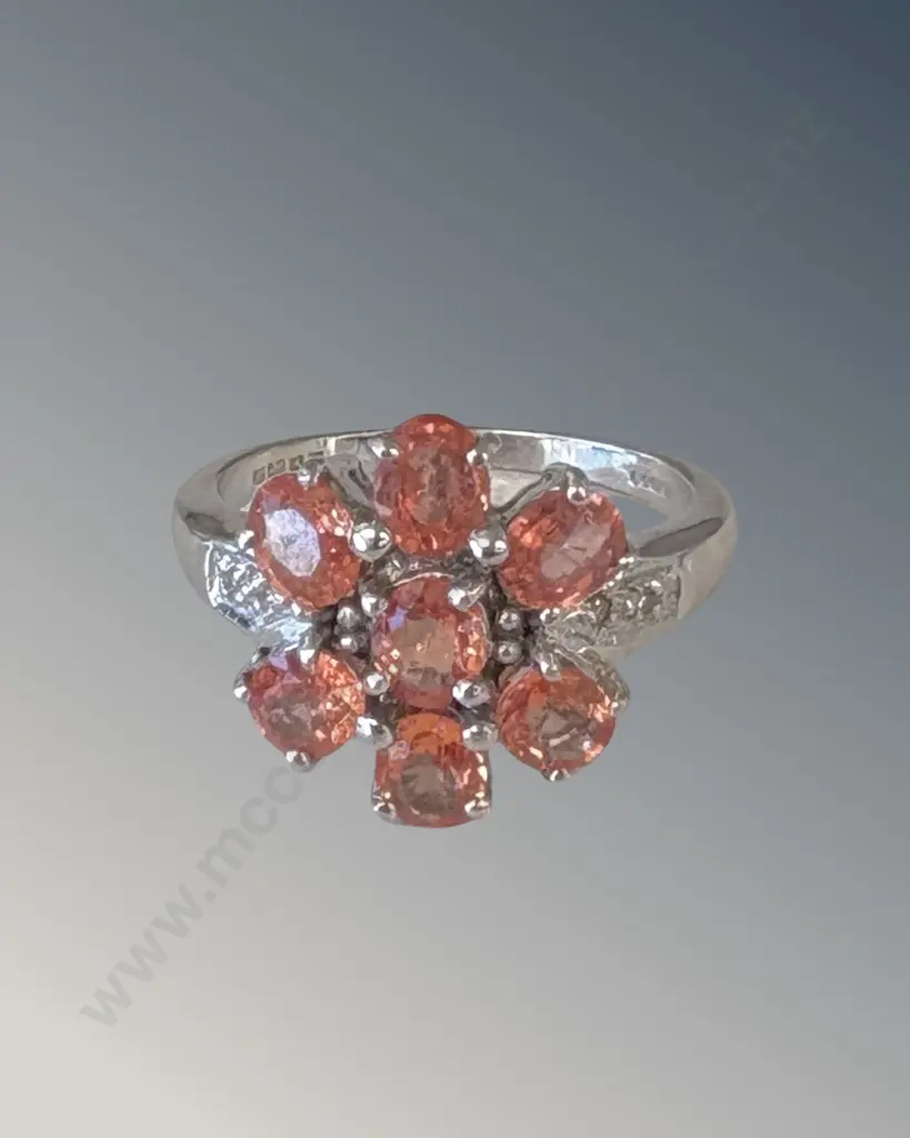 18ct White Gold Sapphire Flower Cluster Ring, Size N, TW6.34gms, Valuation $9500 Image 1++