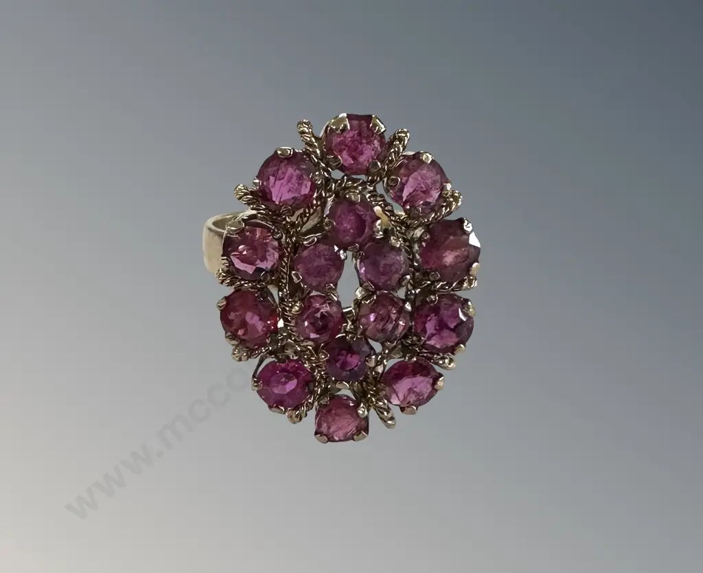 10ct Gold and Ruby Cluster Ring, Size M, TGW2.9gms, TW4.9gms, Valuation $2889 Image 1++