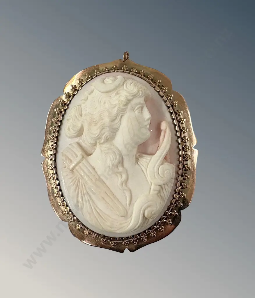 9ct Gold Cameo Brooch L6cm, TW39gms Image 1++