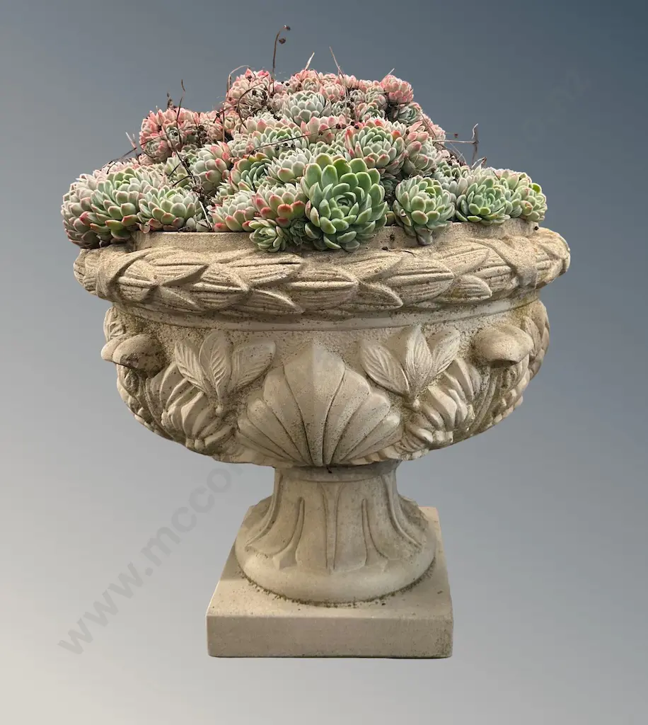 Concrete Planter with Decorative Leaf and Shell Detailing, planted with Succulent, H53xD60cm Image 1++