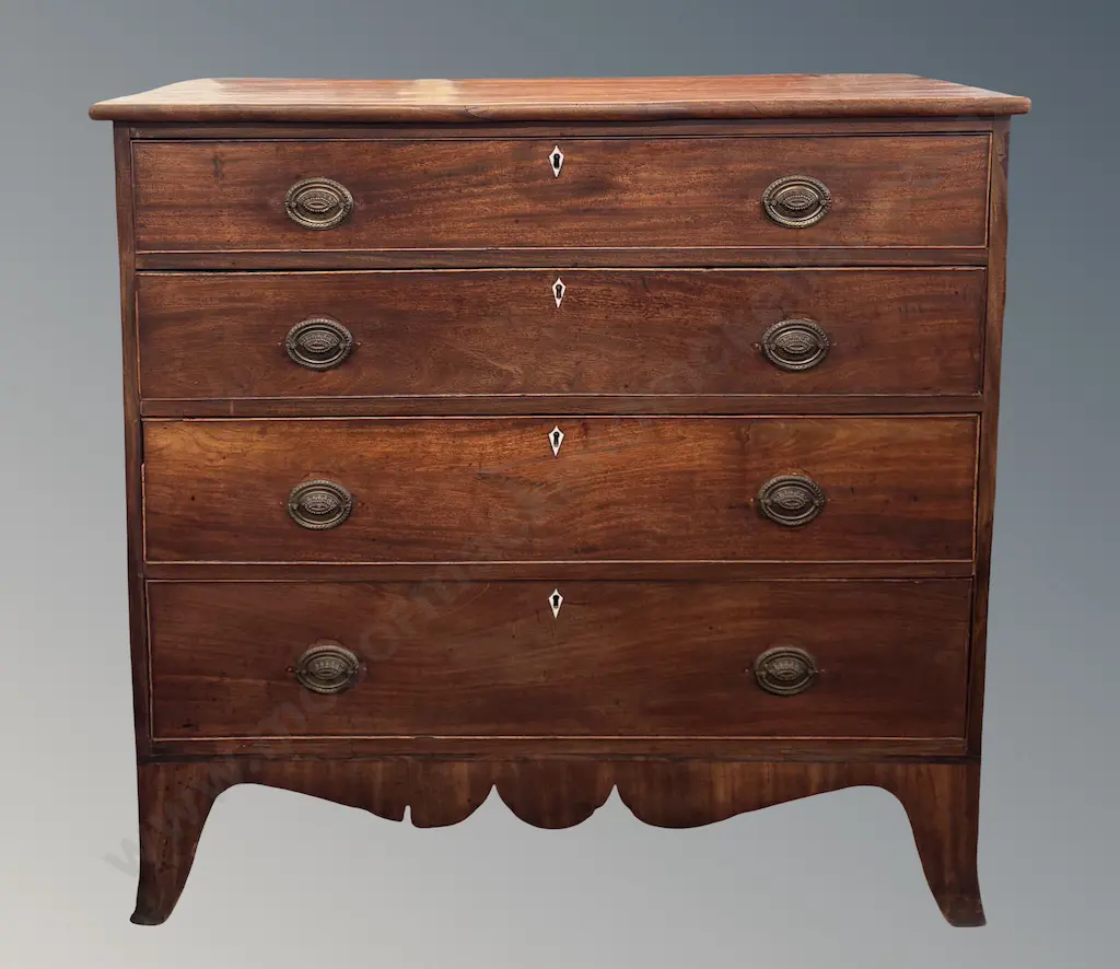 Mahogany Four Drawer Chest with Brass Pulls on Sabre Legs H99xL102xD48cm Image 1++