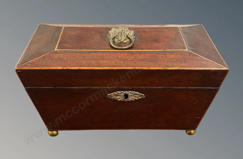 Georgian Mahogany Tea Caddy with Brass Fittings and Ball Feet H61xL30xD16cm Image 1++