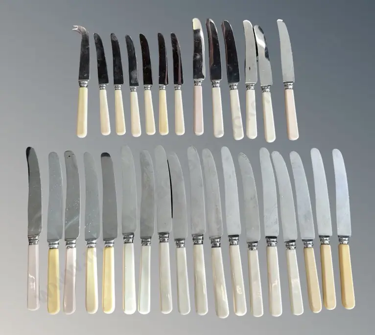 Large Quantity (31) Assorted Bone Handled and Faux Bone Knives Image 1++