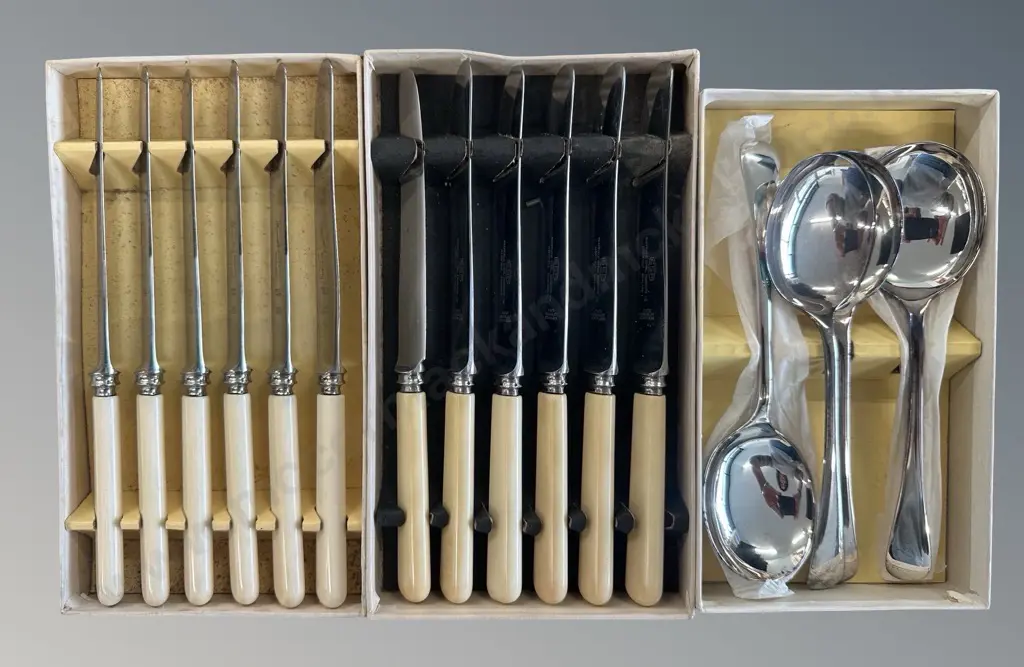 Boxed Sets of Bennett & Heron Bone Handled Knives, SSP Bone Handled Knives & Bennett & Heron Soup Spoons Image 1++