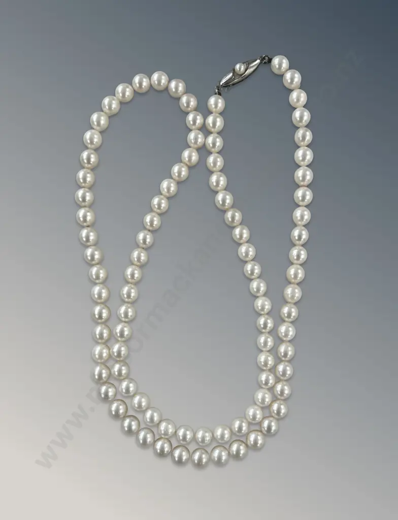 Single Strand Knotted Akoya Pearl Necklace, L66cm, Valuation $3029 Image 1++