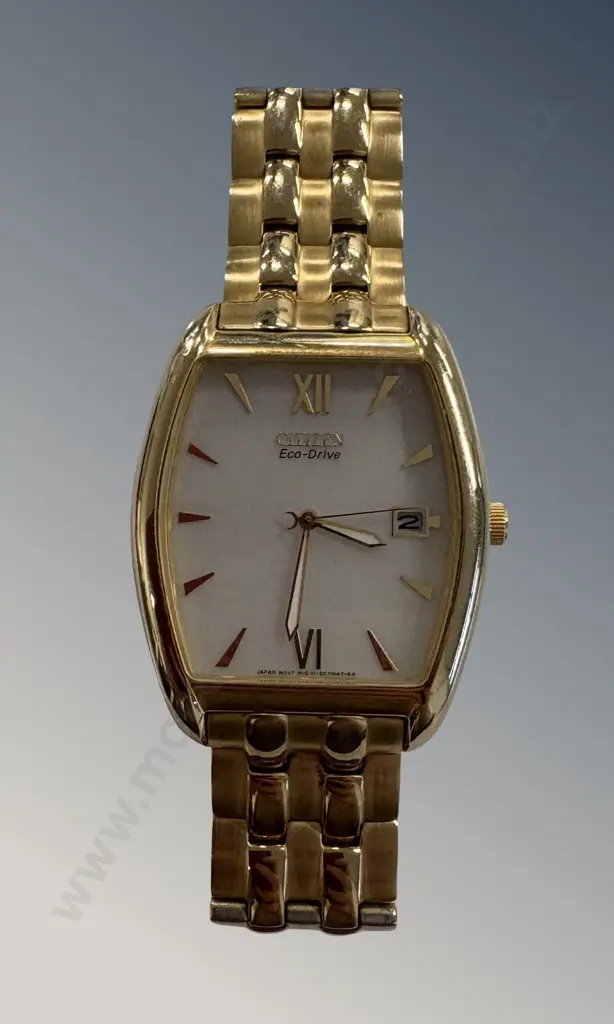 Citizen Eco-Drive Gold Watch Image 1++
