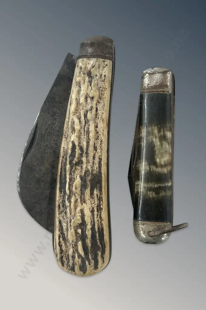 Two Horn Handled Pocket Knives Image 1++