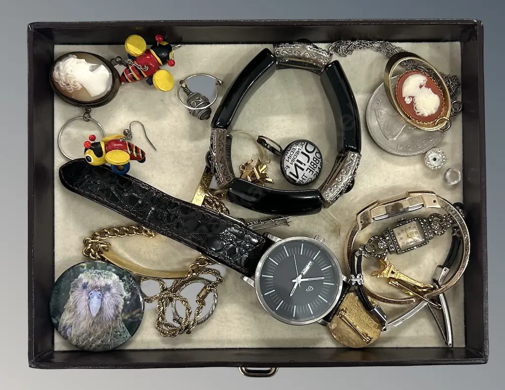 Assorted Costume Jewellery, Watches, Cameos, Earrings, Chains etc Image 1++
