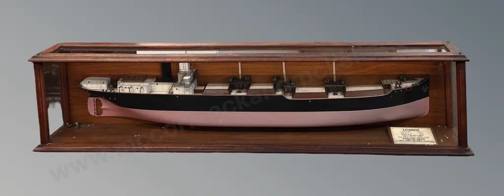 Oak Cased Half Hull Builders Model - S.S. Canopus, The Westport Coal Co.Ltd, Dunedin, L186xH45xD20cm Image 1++
