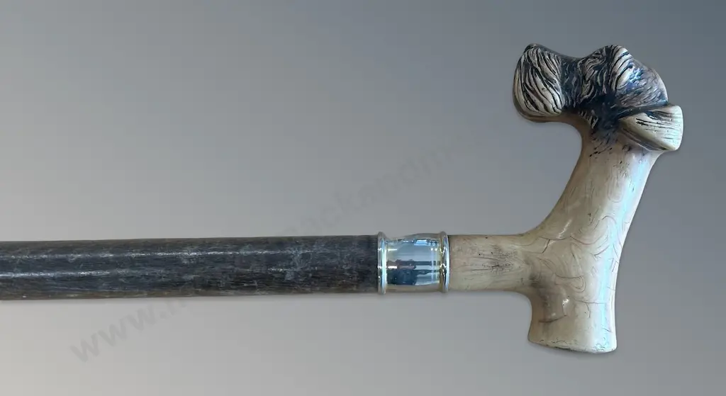 Silver Mounted Walking Stick with Bone Dog Head Handle Image 1++
