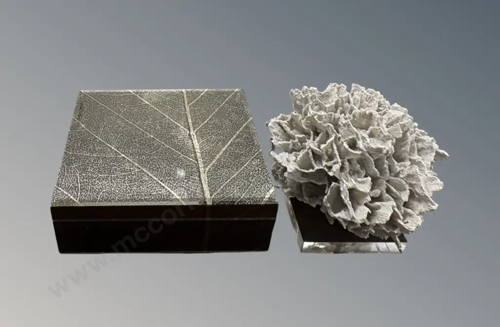 Decorative Glass Leaf Design Box Regina Andrew Design Coral Shaped Form on Acrylic Base Image 1++