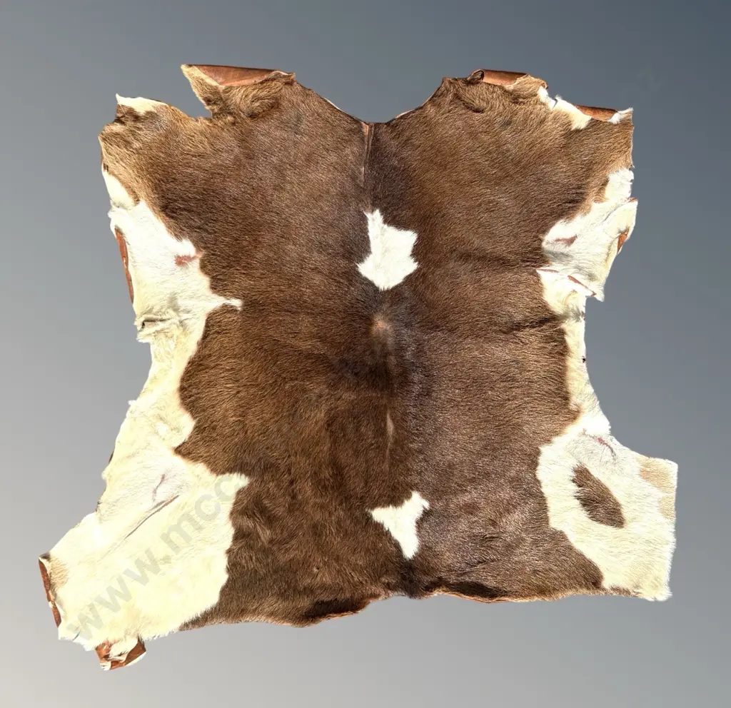 Brown and Cream Cowhide Rug 87x170cm Image 1++