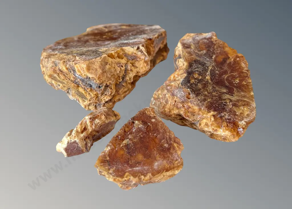 Kauri Gum Image 1++