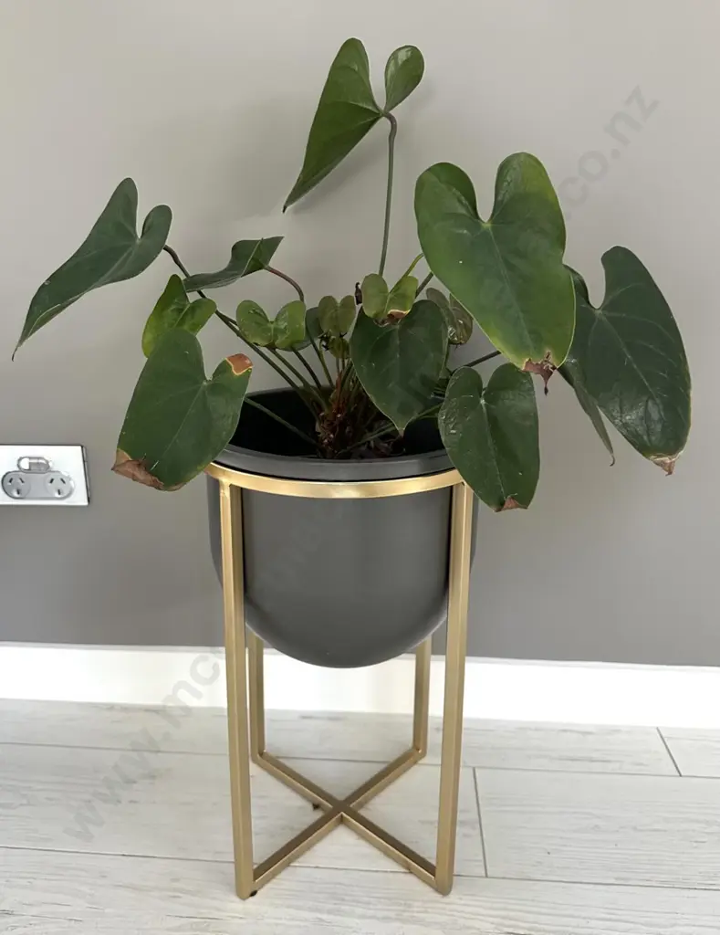 Brass Floor Planter H44cm Image 1++