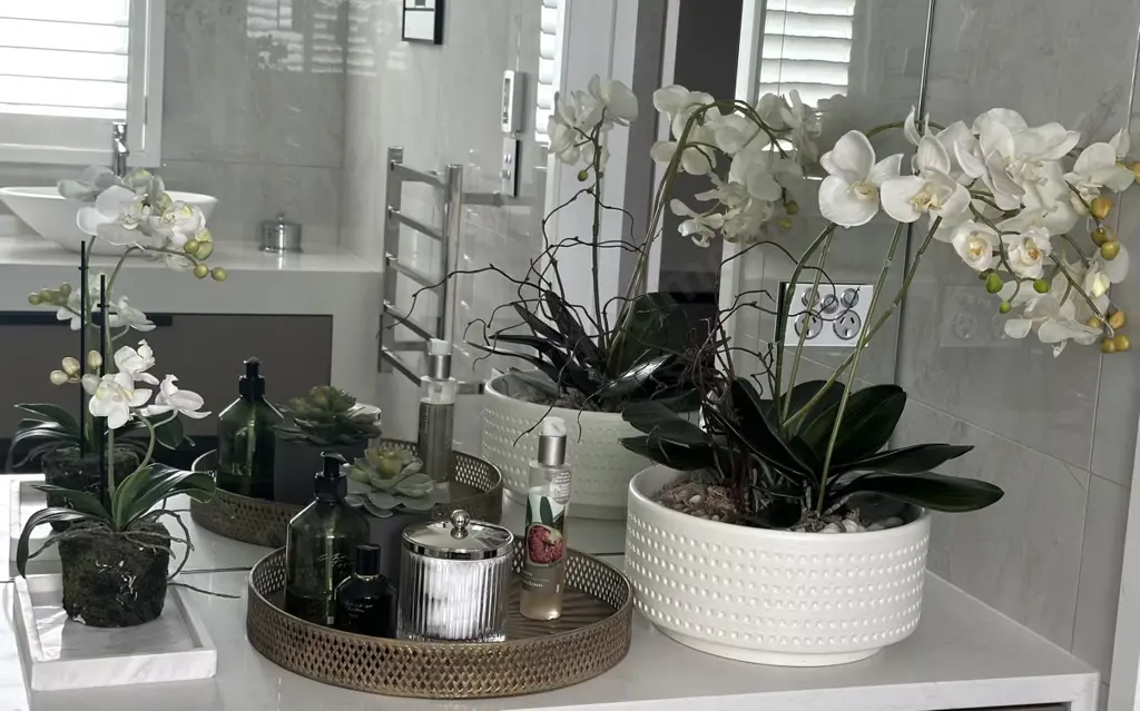 Bathroom Accoutrements and Faux Orchids Image 1++