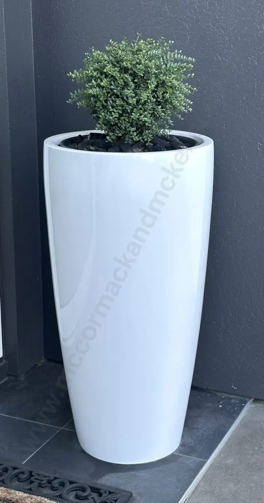 Pair of White Cylindrical Planters with Plants H83cm Image 1++