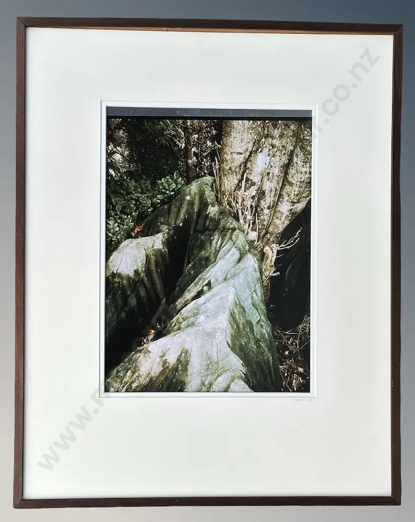 Murray Hedwig - Rocks with Tree, Takaka Hill 1980, photograph, 380x280mm Image 1++