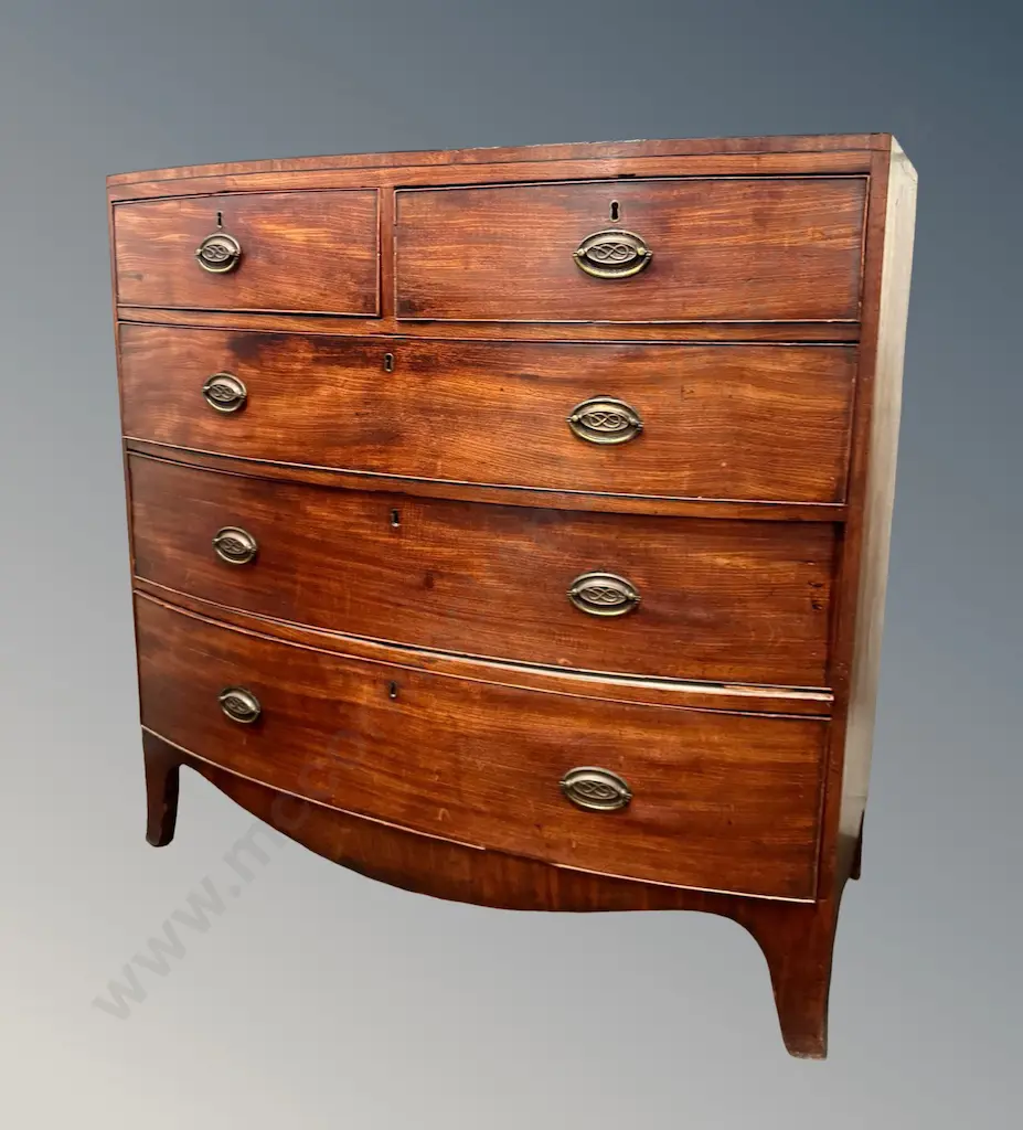 Mahogany Five Drawer Bowfront Chest with Brass Drawer Pulls on Sabre Legs , H104xL105xD53cm Image 1++
