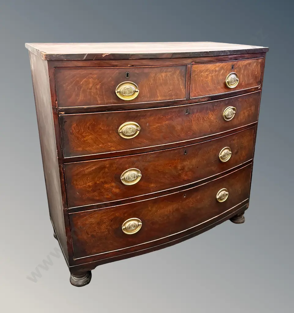 Mahogany Five Drawer Bowfront Chest with Brass Drawer Pulls on Bun Feet, H90.5xL105xD52cm Image 1++