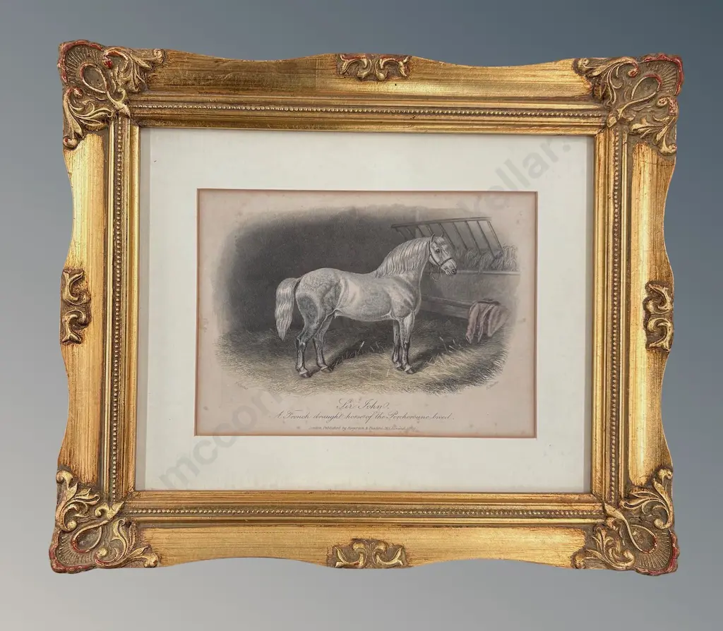 Etching in a Gilt Frame - Sir John a French Draft Horse of the Percheron Breed, 130x180mm Image 1++