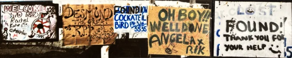 Dick Frizzell - Signage,1997, signed and dated on verso, diptych digital print on stretched canvas, 2430x500mm Image 1++