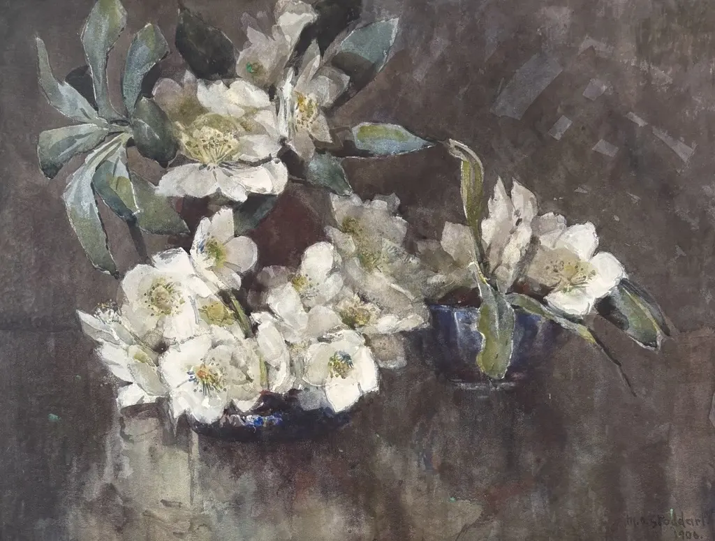 M O Stoddart - Christmas Roses, 1906, watercolour on paper, 440 x 585mm, Image 1++