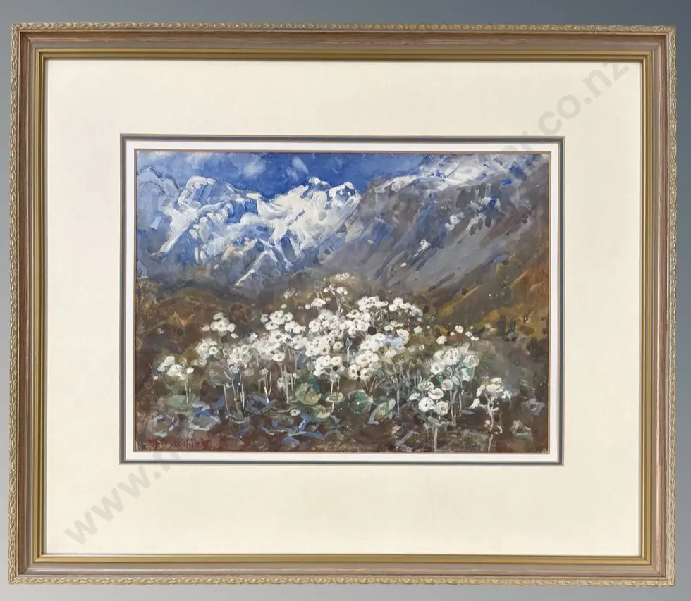 M O Stoddart - Mountain Ranunculus, Hooker Valley, goauche on paper, 280 x 385mm, Image 1++