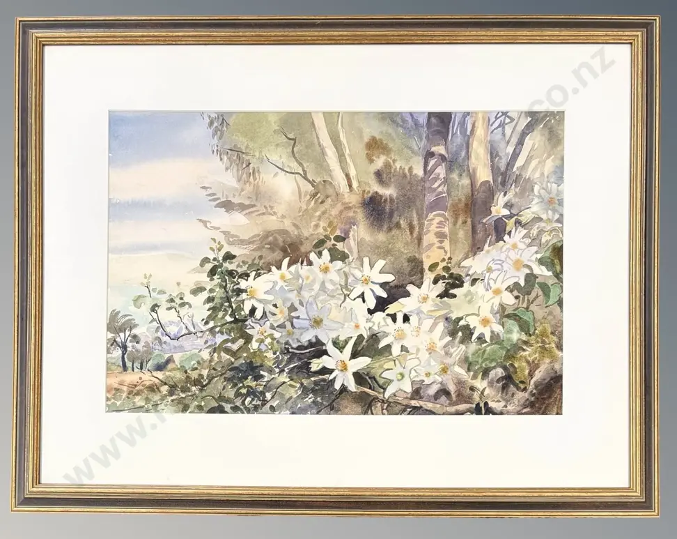 AA Deans - Mountain Daisies, watercolour on paper, 355 x 535mm Image 1++