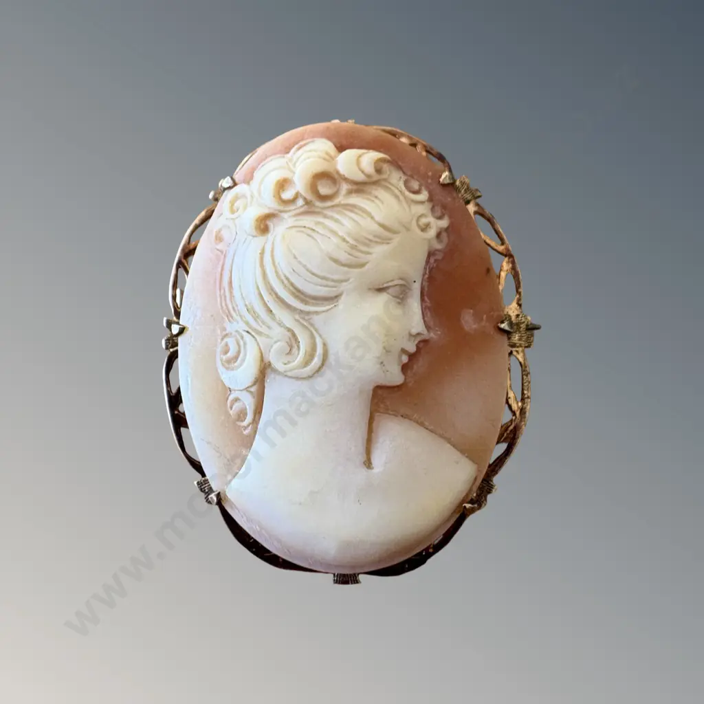 9ct Gold Cameo Brooch, L4cm, TW10.0gms Image 1++