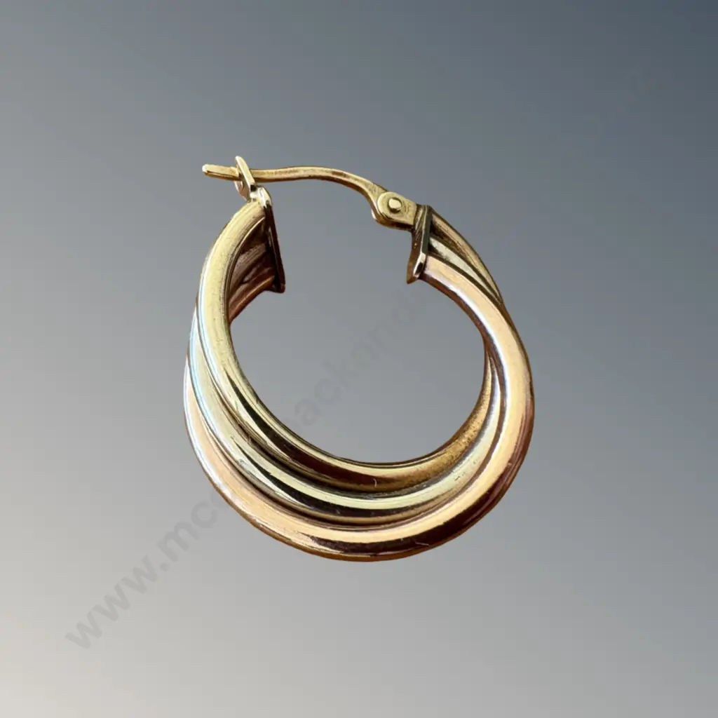 10ct Gold Single Earring TW1.11gms Image 1++