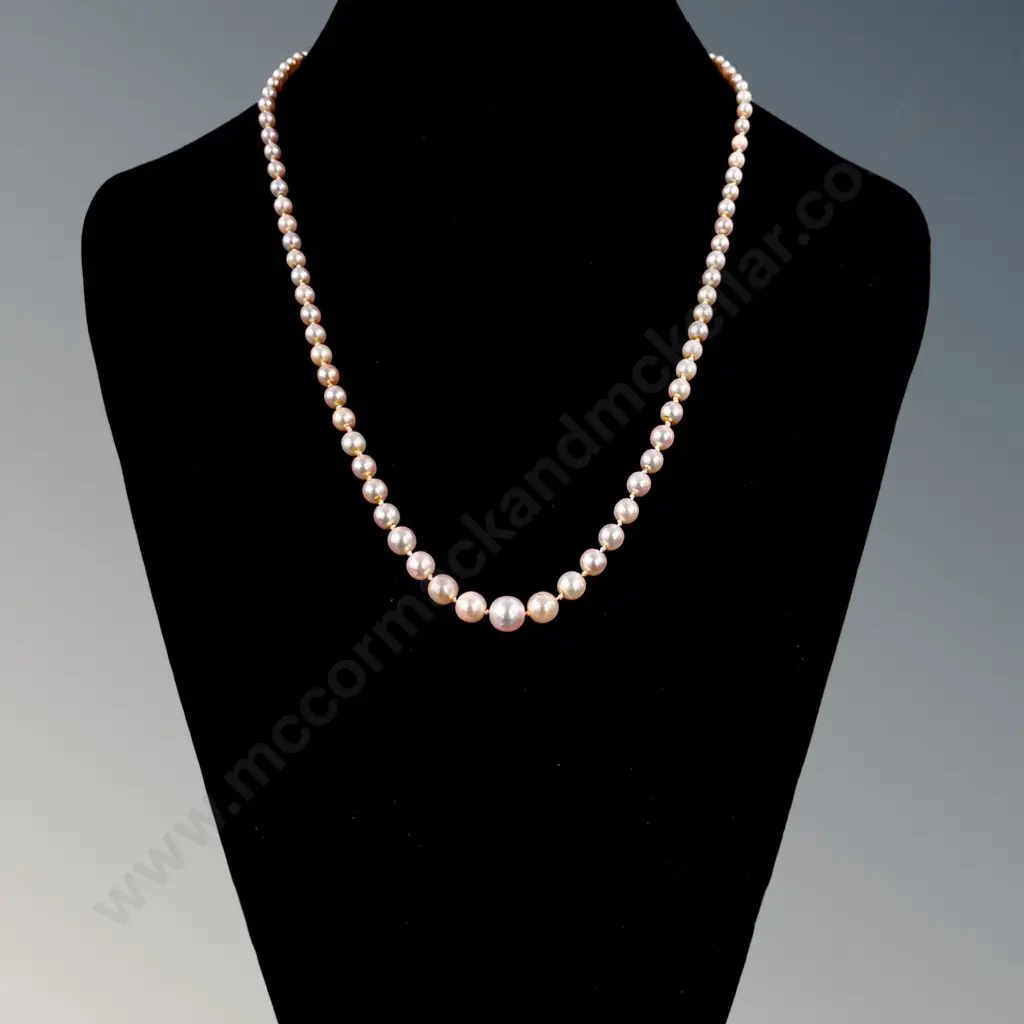 Graduated Pearl Necklace with Diamond Set Gold Clasp L50cm Image 1++