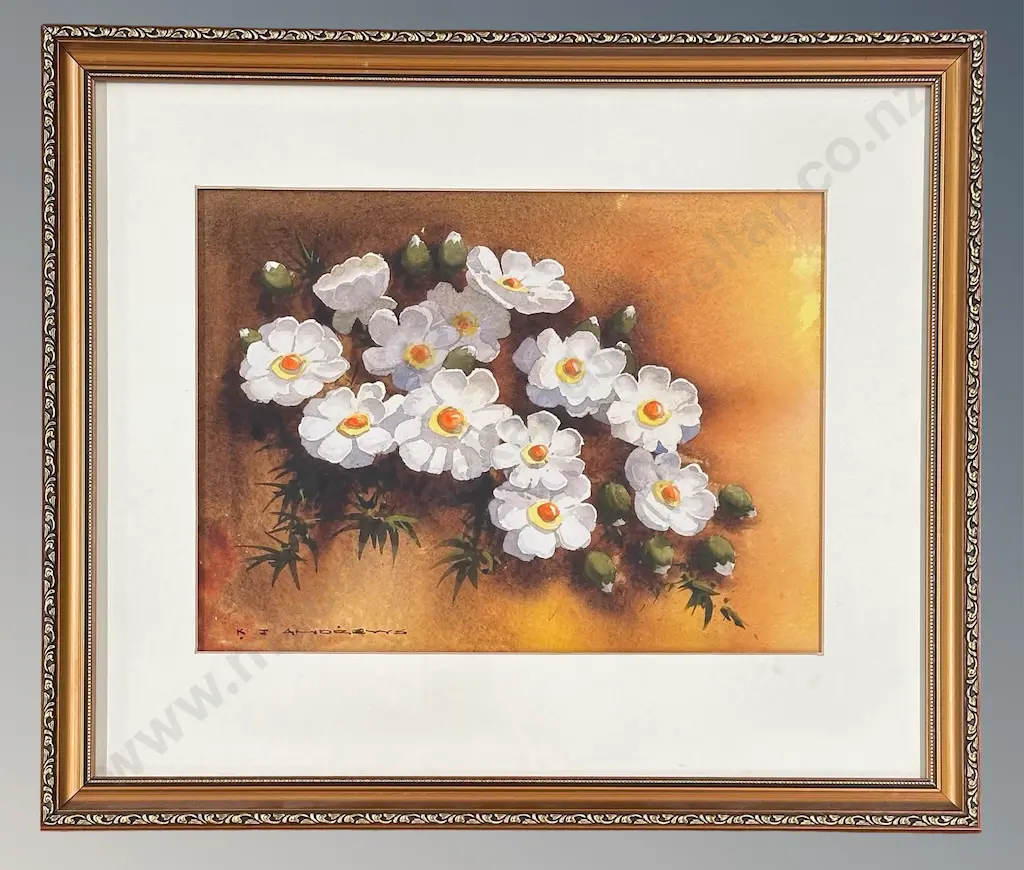 K J Andrews - Mount Cook Lily, watercolour on paper, 260x350mm Image 1++