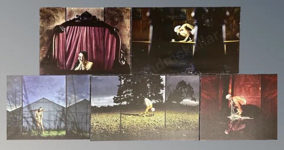 Inez Grim - Portrait of Self - Set of Five, 2006, 1/5 print on canvas 680x1120mm - 670x800mm Image 1++